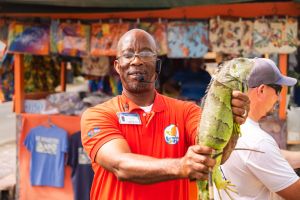 Guide holding a St Maarten iguana