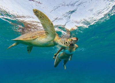 Snorkeling with turtle